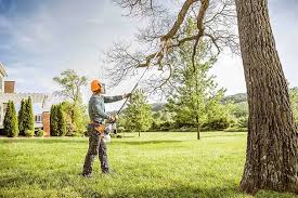 Best Hazardous Tree Removal  in Schenectady, NY