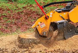 Best Emergency Tree Removal  in Schenectady, NY