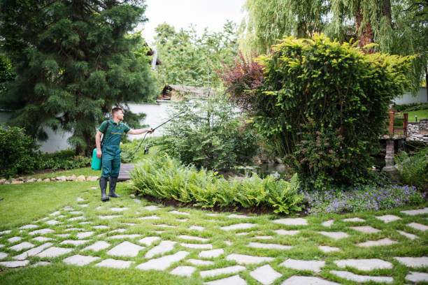 Best Weed Control  in Schenectady, NY