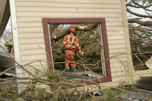 Best Tree Risk Assessment  in Schenectady, NY